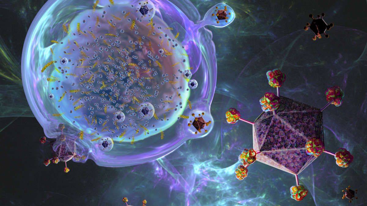 CAR T cell immunotherapy, chimeric antigen receptor T cell immunotherapy, proteins, cell therapy, gene therapy